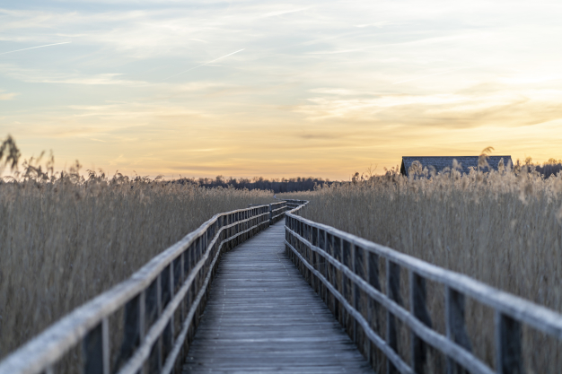 Chemin
